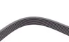 Ремень генератора Kia Sorento 2.5 CRDI 06-/Land Rover Discovery/Range Rover 88-04 Contitech 7PK2255 (фото 4)