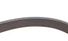 Пас поліклиновий VW Touareg 4.2 V8 02-06 Contitech 7PK2365 (фото 4)