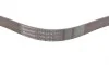 Ремень генератора MB C-class (W203/W204/S203/S204) 02-14 Contitech 7PK2418 (фото 2)