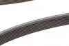 Пас поліклиновий двобічний BMW 7 (F01-F04)/X6 (E71 Contitech 8DPK1833 (фото 3)