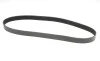 Ремінь генератора Mazda 3/5/6 2.0 DI/CD 02-10 Contitech 8PK1226 (фото 5)