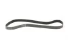 Ремінь генератора BMW 3 (F30/F80)/5 (F10)/ X5 (F15/F85)/ X6 (F16/F86) 13- Contitech 8PK1390 (фото 5)