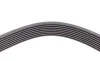 Ремень генератора BMW 5 (F10)/ X5 (E70/F15/F85)/X6 (E71/E72/F16/F86) 08-16 Contitech 8PK1478 (фото 4)