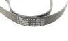 Ремінь генератора Land Rover Range Rover Sport 05-13/Discovery 2.7D 04- Contitech 8PK2092 (фото 3)