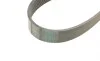 Поликлиновый ремень MERCEDES-BENZ W140 300 SE 03/91-10/98 (выр-во) Contitech 8PK2440 (фото 3)