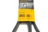 Поликлиновый ремень MERCEDES-BENZ W140 300 SE 03/91-10/98 (выр-во) Contitech 8PK2440 (фото 6)