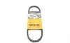Ремінь генератора Citroen GS/Daewoo Tico/Land Rover Discovery I/Peugeot 305 II/505 78-00 (10х613) Contitech AVX10X613 (фото 1)