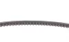 Клиновый ремень VW Golf II 83-92, Caddy II 95-04; RENAULT Clio I 90-98, 1988-00, 4 61-94; FIAT Scudo 95-07, Siena 97-16; PEUGEOT 205 87-98 Contitech AVX10X685 (фото 3)