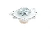 Комплект ременя ГРМ з помпою Volvo 2,0d 2,4d S60 11>, XC60 09> (CT1010WP1) ContiTech Contitech CT1010 WP1 (фото 7)