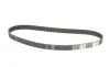 Комплект ГРМ + помпа Renault Clio/Kangoo/Megane/Scenic/Dacia Dokker/Duster/Logan 1.5dCi 01-(27x123z) Contitech CT1035WP3 (фото 4)