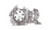 Комплект пасу ГРМ з насосом Renault Clio/Kangoo 1. Contitech CT1045WP1 (фото 12)