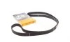 Ремінь ГРМ Subaru Forester/Impreza/Legacy 1.5/2.0/2.5i 92- (30x281z) Contitech CT1058 (фото 1)