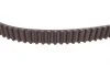 Комплект ГРМ Citroen Nemo/C1/C2/C3/Xsara/Peugeot 107/1007/206/307/Bipper 1.4HDI 08- (25x144z) Contitech CT1063K1 (фото 9)