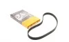 Пас ГРМ Honda Civic 1.3/1.4/1.5 91-01 (106x24) Contitech CT1070 (фото 1)