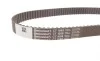 Комплект ГРМ + помпа Audi A3/Skoda Octavia/VW Golf 2.0FSI 04-10 (23x148z) Contitech CT1088WP4 (фото 3)