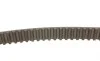 Комплект ГРМ + помпа Citroen Berlingo/C4/C3/C5/Jumpy/Peugeot Partner/206/307/308 1.6HDI 04-(25x137z) Contitech CT1092WP1 (фото 2)