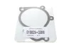 Комплект ГРМ + помпа Hyundai Accent/Santa Fe 1.5/2.0 CRDi 02-06/Kia Sportage 2.0 CRDi 04- (28x123z) Contitech CT1099WP2 (фото 14)