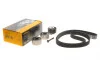 Комплект ГРМ Land Rover Discovery/Range Rover 3.0TD 09- (29x195z) Contitech CT1117K3 (фото 2)