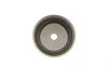 Комплект ГРМ Land Rover Discovery/Range Rover 3.0TD 09- (29x195z) Contitech CT1117K3 (фото 14)