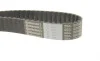 Комплект ГРМ Land Rover Discovery/Range Rover 3.0TD 09- (29x195z) Contitech CT1117K3 (фото 10)