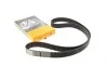 Ремінь ГРМ Toyota Land Cruiser/Sequoia/Lexus LS/GS 4.0/4.3/4.7 97- (211x34) Contitech CT1147 (фото 1)