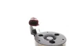 Комплект ГРМ + помпа VW T6 2.0TDI 15-/Golf VII/Skoda Octavia III 1.6TDI/2.0TDI 12- (25x145z) Contitech CT1168WP3 (фото 9)