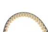 Комплект ГРМ Ford B-Max/C-Max/Fiesta/Mondeo 1.0 Ecoboost 12- (16x116z) Contitech CT1211K1 (фото 4)