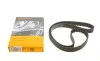 Ремень ГРМ Audi A3/A4/A6/A7/Q2/Q3/Q5/Skoda Octavia/VW Golf VIII 2.0D/2.0DH 15- (25x149z) Contitech CT1229 (фото 1)