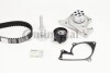 Комплект ГРМ + помпа Renault Kangoo/Megane 1.5Blue dCi 18-/Nissan Qashqai 1.5dCi 13- (27x119z) Contitech CT 1244 WP1 (фото 1)