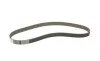 Ремінь ГРМ VW LT 2.4D 82-96/Audi 100 2.0D/TD 78-90 (119x25) Contitech CT704 (фото 5)