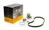 Комплект пасу ГРМ з насосом Opel Astra F/G/Combo/C Contitech CT874WP1 (фото 1)
