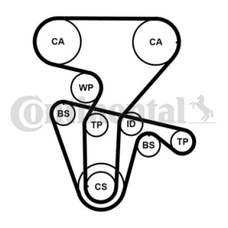 Комплект ГРМ, пас+ролик+помпа Contitech CT877WP3PRO