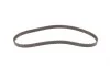 Комплект ГРМ + помпа Ford Mondeo 1.6Ti-VCT 07-14/Focus 1.4/1.6i 04-12/Fusion 1.2-1.6 02-12 (22x117z) Contitech CT881WP2 (фото 4)