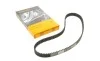 Пас ГРМ Mazda 323 1.5i 16V 94-98 (22x125z) Contitech CT899 (фото 1)