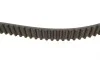 Пас ГРМ Mazda 323 1.5i 16V 94-98 (22x125z) Contitech CT899 (фото 2)