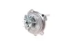 Комплект ГРМ + помпа Audi A3/A4/Skoda Octavia/WV Caddy III/Golf IV/V/Passat/Touran1.6 95- (23x138z) Contitech CT908WP1 (фото 6)