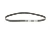 Комплект пасу ГРМ з насосом Audi A4 96-09/A6 96-05 Contitech CT909WP2 (фото 4)