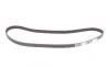 Комплект пасу ГРМ з насосом Opel Astra G/Combo/Zaf Contitech CT975WP3 (фото 4)