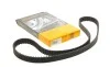 Ремінь ГРМ Renault Laguna 2.0 16V 95-01/Ford Focus II/Mondeo/Kuga I 2.5 05-15 (23x142z) Contitech CT979 (фото 1)
