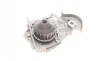 Комплект ГРМ + помпа Renault Kangoo 1.4/1.6i 97-/Dacia Logan/Sandero 1.4/1.6 04- (17x96z) Contitech CT988WP2 (фото 11)
