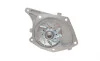 Помпа води Renault Kangoo/Megane/Scenic/Clio/Nissan Almera/Kubistar/Micra 1.5dCi 01- Contitech WP6019 (фото 2)