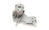 Помпа воды Ford C-Max/Focus/Mondeo/Fiesta/Kuga/Connect 1.4/1.6/Volvo 1.6 07-/Mazda 2 1.3/1.4 03-07 Contitech WP6080 (фото 4)