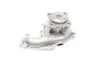 Помпа воды Ford C-Max I/Focus I/II/Fiesta/Mondeo/Transit/Tourneo Connect 1.8DI/TDCi/TDDi 99- Contitech WPS3006 (фото 7)