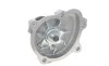 Помпа воды Opel Astra G/H/J/Combo/Corsa C/D/Zafira 1.7CDTI/DTI 00- Contitech WPS3009 (фото 2)