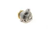Помпа воды VW T4/T5/T6/Golf/Passat/Audi Q7/TT 2.8 V6-3.2 V6 00- Contitech WPS3091 (фото 2)