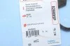 Прокладка крышки клапанов Audi A4/A6/A8/Skoda SuperB/VW Passat 2.4-2.8 95-08 CORTECO 026695P (фото 2)