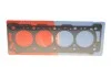 Прокладка ГБЦ Citroen Berlingo 1.9D 98-11 (1.26mm) CORTECO 415032P (фото 1)