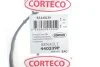 Прокладка кришки клапанів Renault Kangoo 1.2 16V 01- CORTECO 440239P (фото 2)