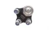 Опора кульова (передня/знизу/R) Renault Kangoo/MB Citan (W415) 1.2-1.6 08- CORTECO 49395980 (фото 2)