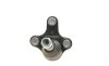 Опора кульова (передня/знизу/R) VW Caddy IV 1.0-2.0TDI 15- CORTECO 49398495 (фото 5)